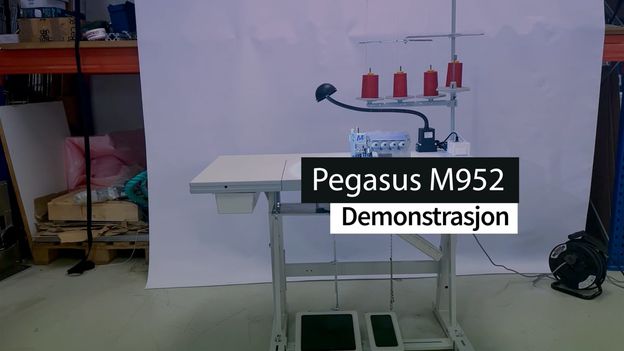 Overlock - Pegasus M952