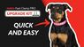 Embroider A Dog Collar on the Melco SUMMIT Machine